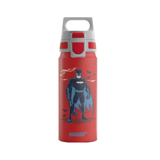 Water Bottle WMB ONE Batman Standing, 600ml