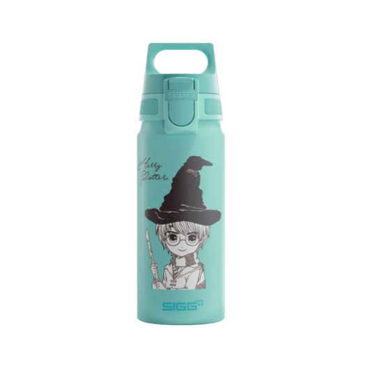 Water Bottle WMB ONE Harry Potter, 600ml