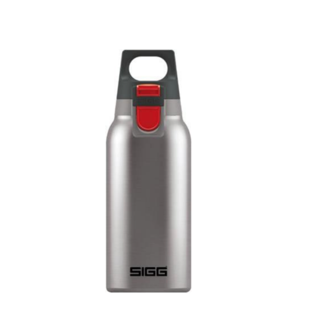 Water Flask Shield Hot & Cold ONE Brushed, 300ml